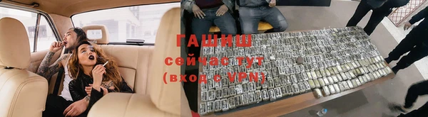прущие грибы Билибино