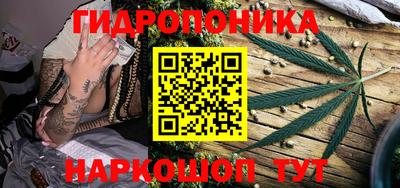 ECSTASY Абакан