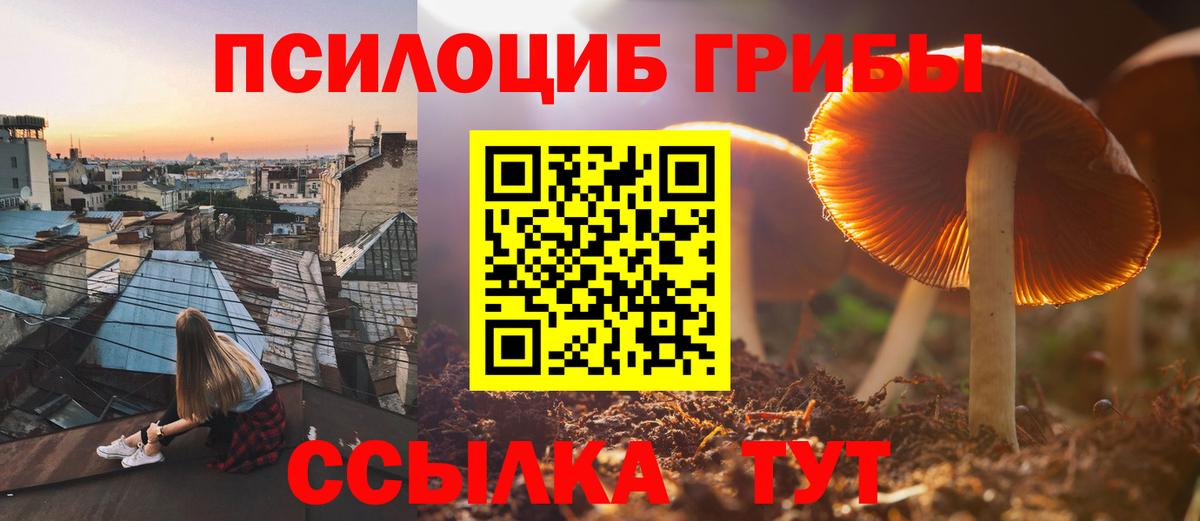 Галлюциногенные грибы прущие грибы  Вход с VPN  Новотроицк 