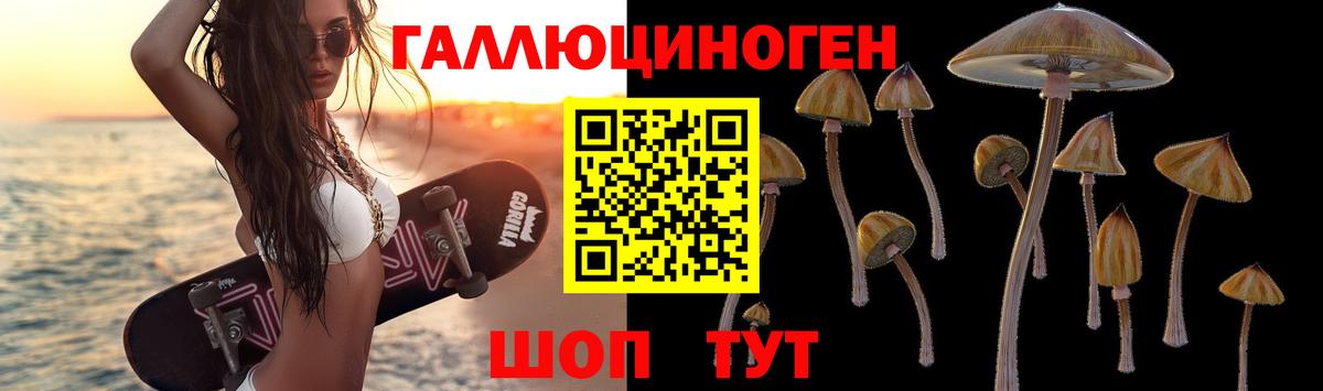 Галлюциногенные грибы GOLDEN TEACHER Новотроицк