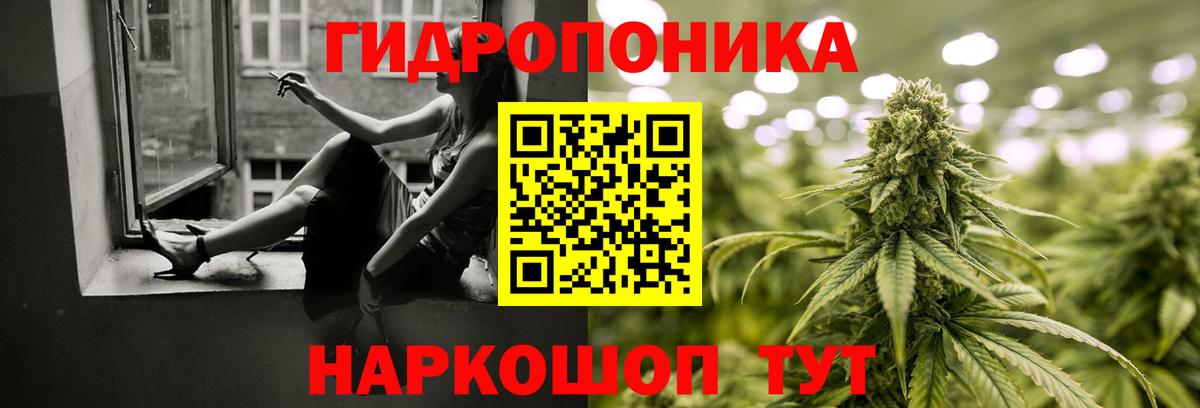 Конопля планчик Новотроицк